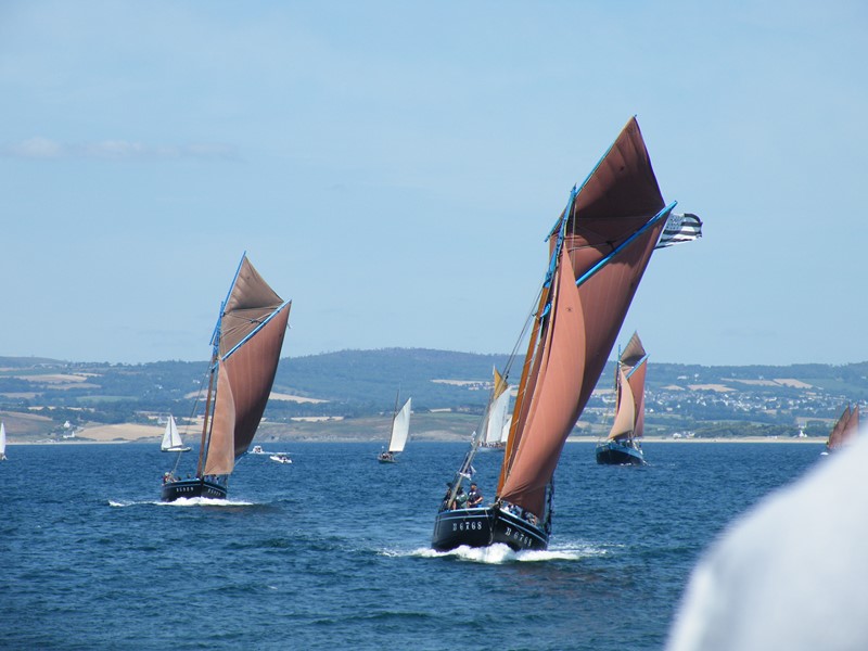 Pictures from the 25 July 2026